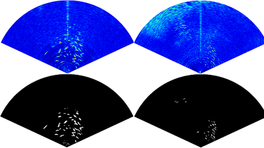 Deep Learning based Segmentation of Fish in Noisy Forward Looking MBES Images